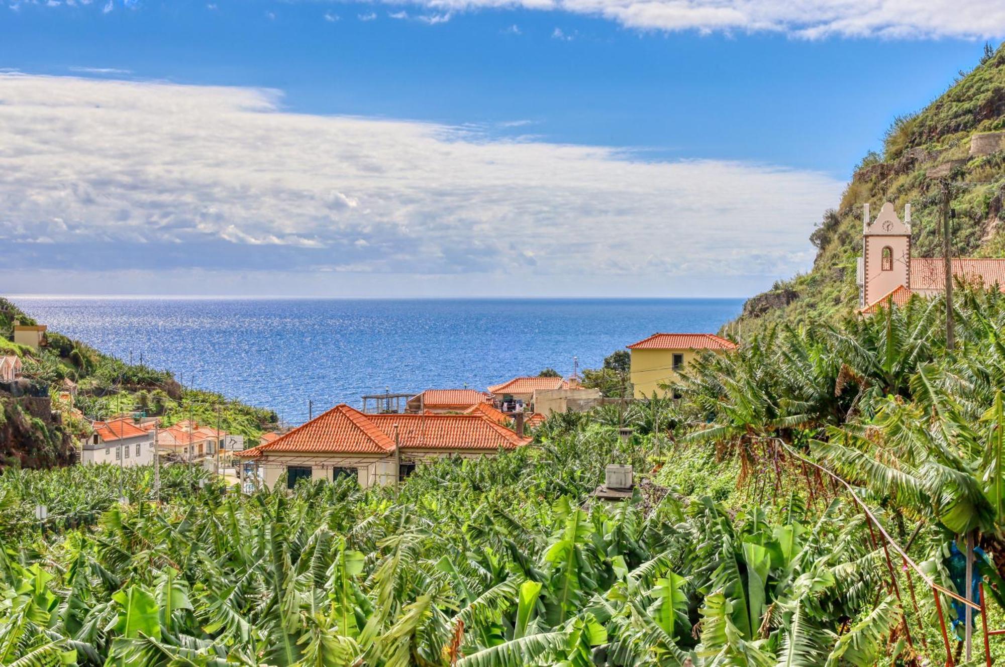 Casa Da Praia, A Home In Madeira 里贝拉布拉瓦 外观 照片
